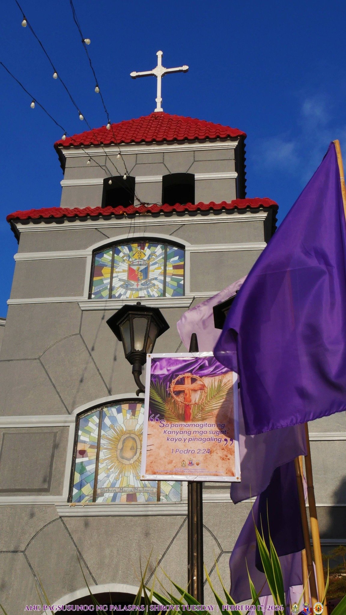 IFI SantaCruz